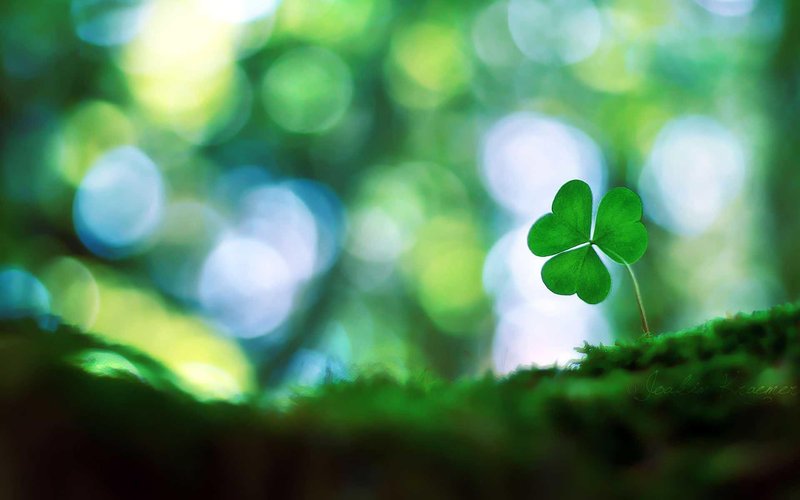 What Makes UnlimLuck Worth a Second Look in United Kingdom